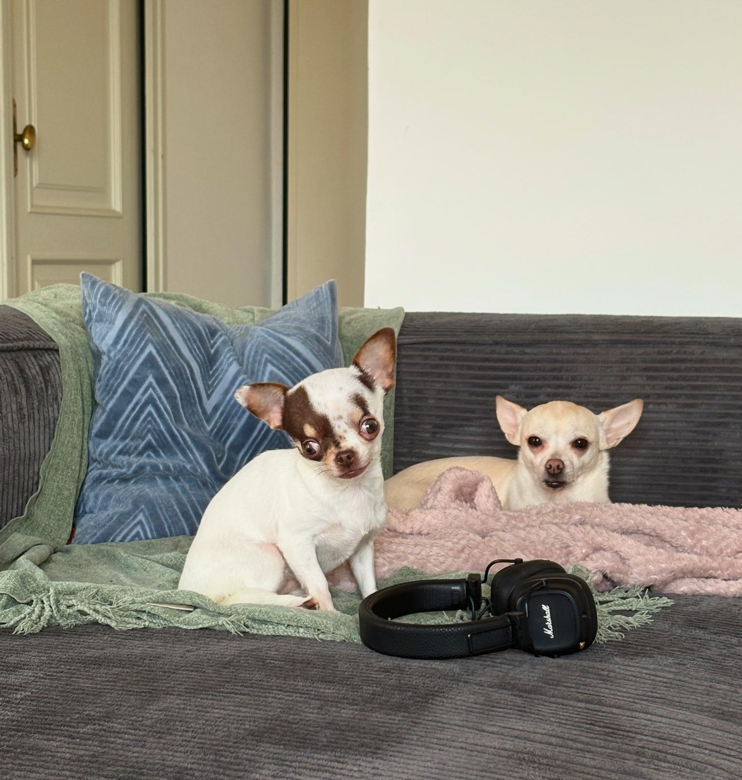 11639ca6-a87b-43a2-97f0-2f4a405136f5