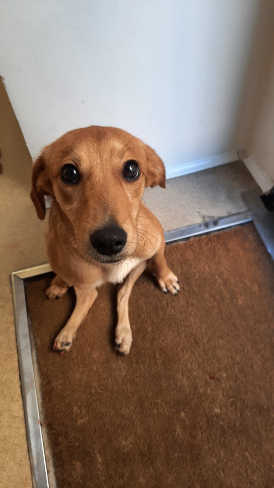 WhatsApp Image 2021-08-20 at 23.25.24 (2)