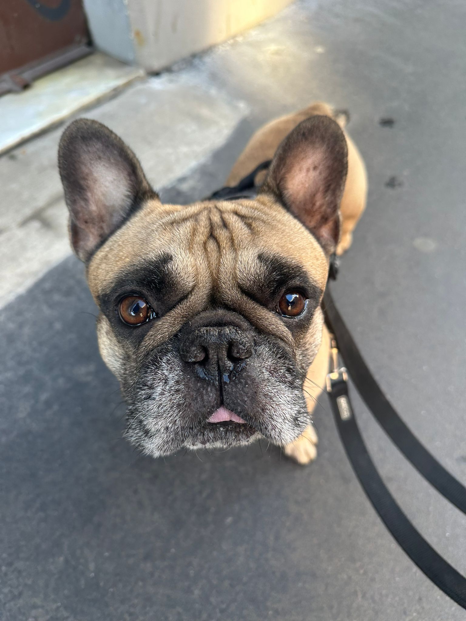 WhatsApp Image 2025-12-31 at 10.07.46