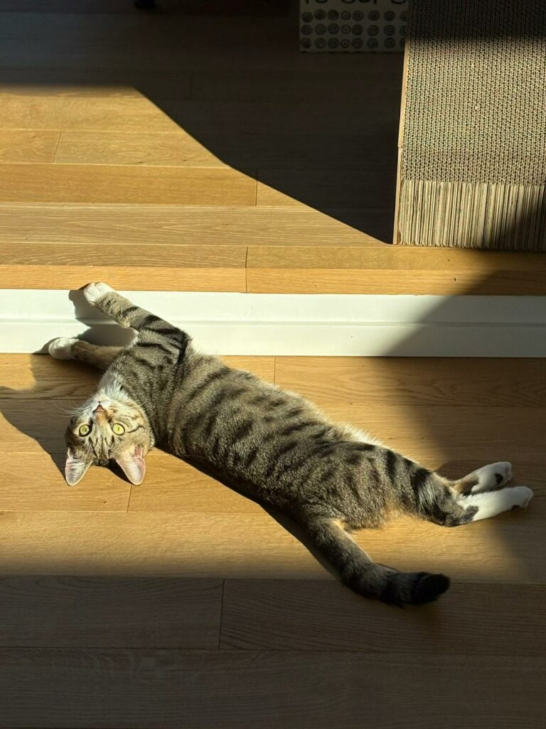 Max